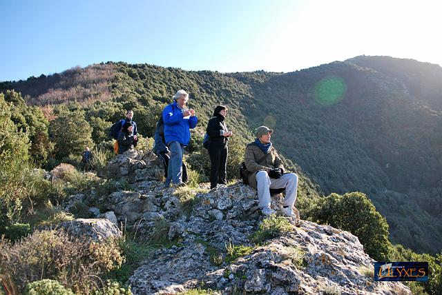 riposo sul confine tra cmare e vico.JPG